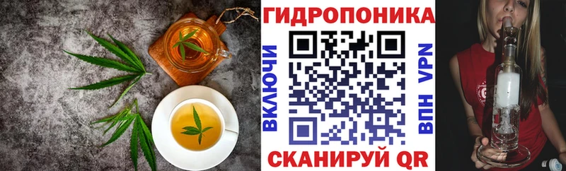 блэк спрут как зайти  где можно купить   Наволоки  Печенье с ТГК марихуана 