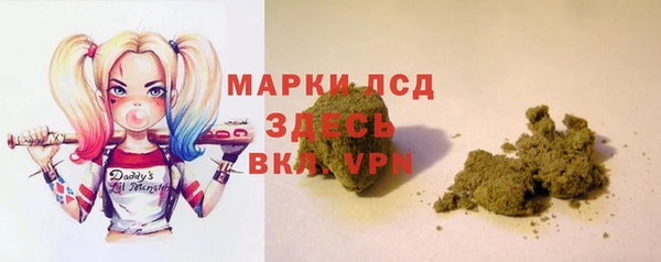 дмт Алзамай