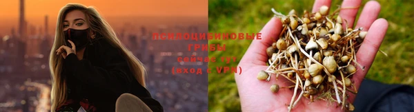молекула духа Арсеньев