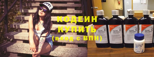 ПСИЛОЦИБИНОВЫЕ ГРИБЫ Горняк