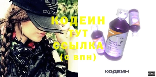 молекула духа Арсеньев