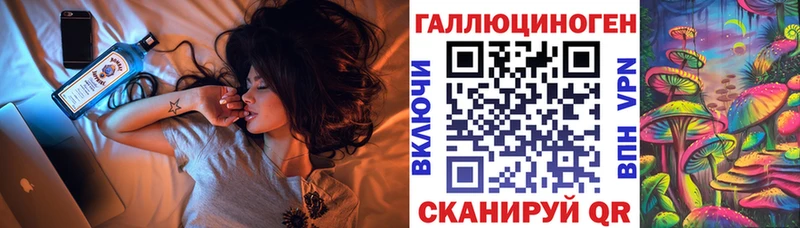 Псилоцибиновые грибы Psilocybe  Наволоки 